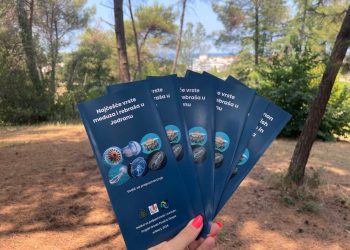 Objavljen važan vodič za prepoznavanje najčešćih vrsta meduza i rebraša u Jadranu