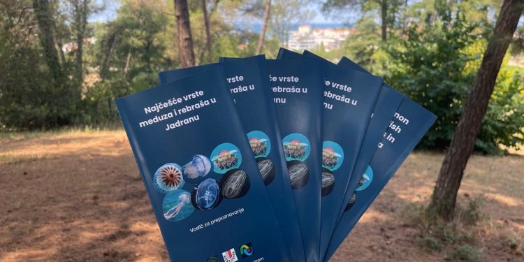 Objavljen važan vodič za prepoznavanje najčešćih vrsta meduza i rebraša u Jadranu