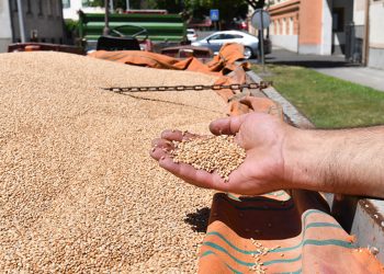 Opet ništa od dividende Čakovečkih mlinova, hoće li stići protuprijedlog?