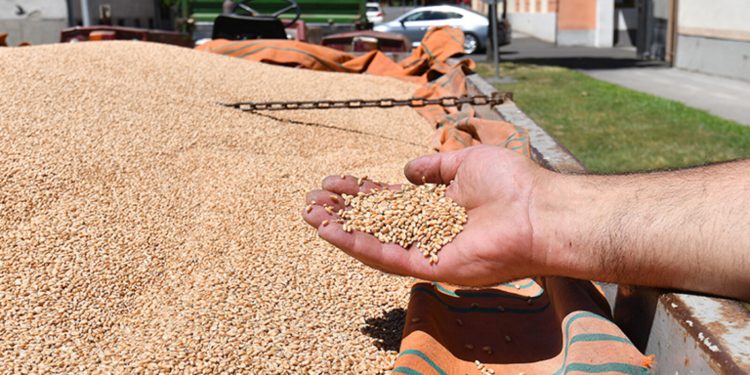 Opet ništa od dividende Čakovečkih mlinova, hoće li stići protuprijedlog?