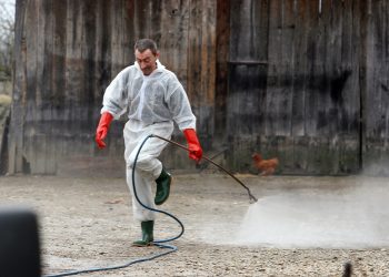 Opet se javila bolest koja je Slavonce bacila na koljena: Uvedene mjere zabrane na 30 dana