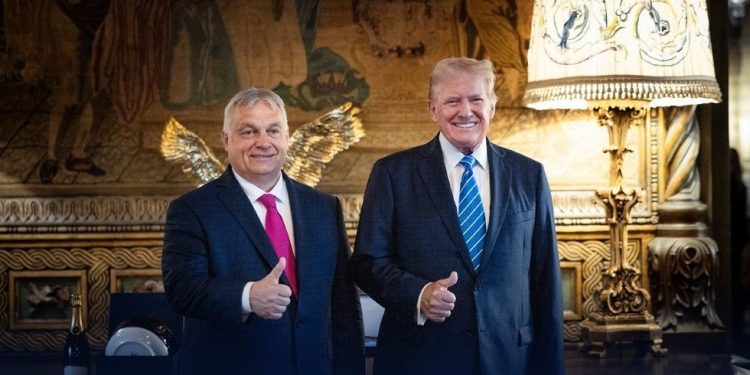 Orban se sastaje s Trumpom kako bi razgovarali o ‘mirovnoj misiji’ — RT World News