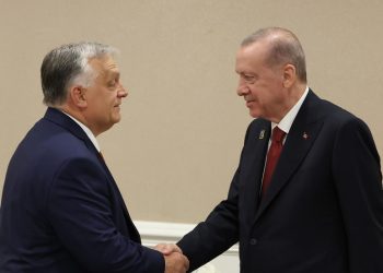 Orban traži od Erdogana da podrži njegovu mirovnu inicijativu u Ukrajini — RT World News