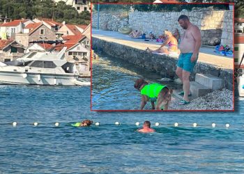 Otresa se, vrši nuždu, a komunalnog redara nigdje