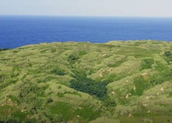 Ovaj je hrvatski otok bez gužvi i buke, a možete ga prešetati za nekoliko sati!