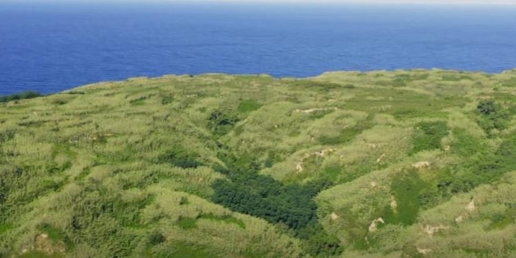 Ovaj je hrvatski otok bez gužvi i buke, a možete ga prešetati za nekoliko sati!