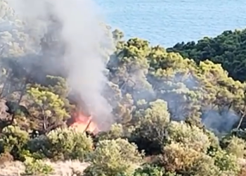 Ovako je izgledao početak požara u Segetu