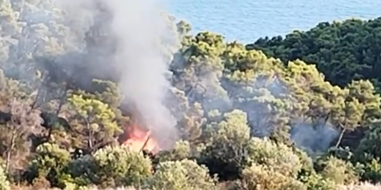 Ovako je izgledao početak požara u Segetu