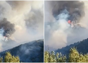 Ovo je trenutno stanje u Skradinu. Pred vatrogascima je duga i neizvjesna noć