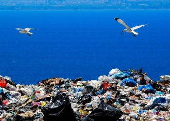 Ovoliko je otpada prošli mjesec pokupljeno s cesta u Puli!