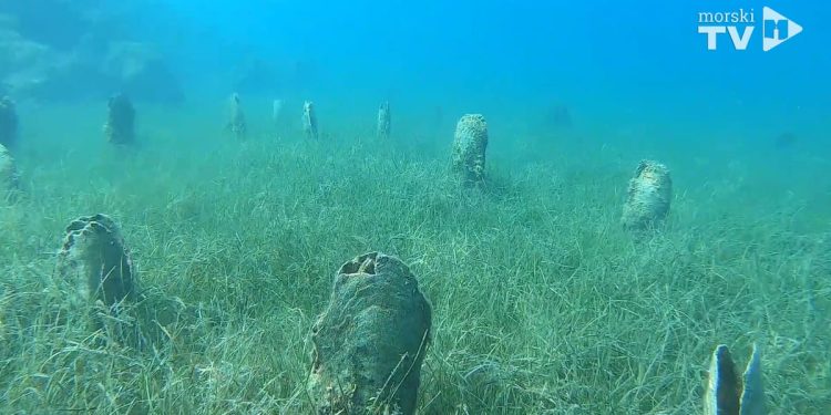 PERISKE Jeste li ih vidjeli? Najvrjedniji dojavljivači bit će nagrađeni!