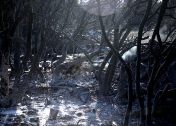 POŽARI POD KONTROLOM Pustoš nakon vatrene stihije: Izgorjele kuće, auti… | NACIONAL.HR