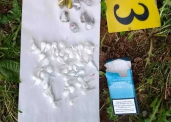 PRONAĐENO SKORO 100 PAKETIĆA 20-godišnjakinja prodavala drogu, držala je u žutoj kutiji u dvorištu
