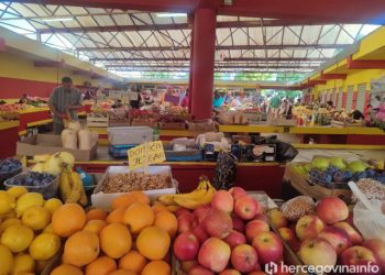 PUNO BERBI VEĆ ZAVRŠENE Nikad toplija godina dovela do rane berbe voća