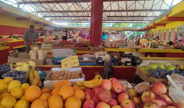 PUNO BERBI VEĆ ZAVRŠENE Nikad toplija godina dovela do rane berbe voća