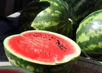 NEMA LOGIKE Lubenice poskupjele za čak 40 posto, evo gdje su najjeftinije | NACIONAL.HR