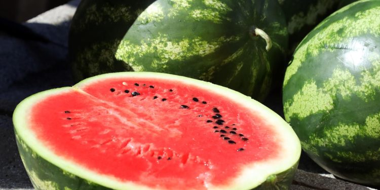 NEMA LOGIKE Lubenice poskupjele za čak 40 posto, evo gdje su najjeftinije | NACIONAL.HR