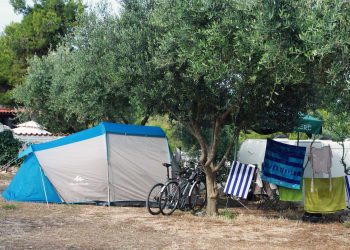 LOV NA ILEGALCE Komunalci imaju pune ruke posla: Imaju svakakva opravdanja, ali ne padamo na te fore… | NACIONAL.HR