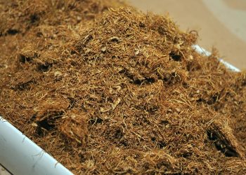 USKOK NALOŽIO Započela masovna uhićenja zbog ilegalnog uvoza, obrade i preprodaje duhana | NACIONAL.HR