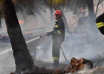 POD NADZOROM Vatrogasci i drugu noć dežuraju na požarištu blizu Trogira | NACIONAL.HR