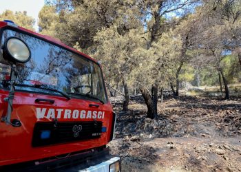 NOVE INFORMACIJE Požar kod Hotela Meden lokaliziran, ali još nije ugašen | NACIONAL.HR