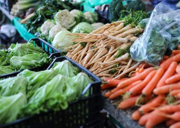 NISKE OTKUPNE CIJENE Podravski poljoprivrednici očajni, bacaju tone povrća i traže pomoć države | NACIONAL.HR