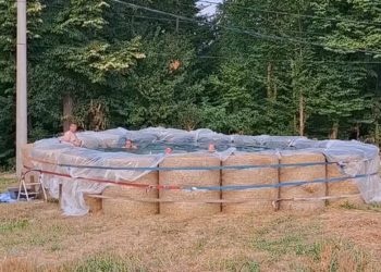 Pogledajte kako su dosjetljivi Bosanci napravili bazen za 550 maraka: ‘Trebalo je napuniti preko bunara’