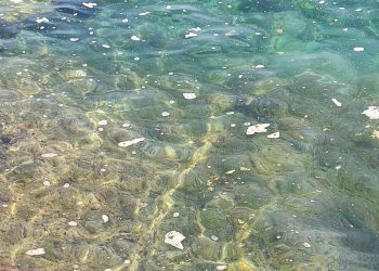 Pogledajte što su ispustili s jedrenjaka kod Pelješca, ovdje se sad ne može kupati!