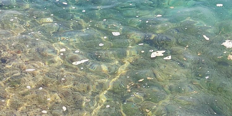 Pogledajte što su ispustili s jedrenjaka kod Pelješca, ovdje se sad ne može kupati!