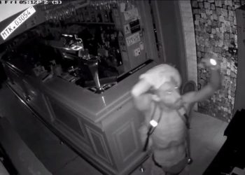 Policija moli pomoć građana u potrazi za serijskim provalnikom s dubrovačkog područja