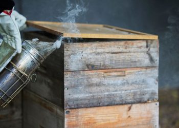 Policija pronašla muškarca koji je uzrokovao požar kod Tučepa! Evo što je zapravo radio…