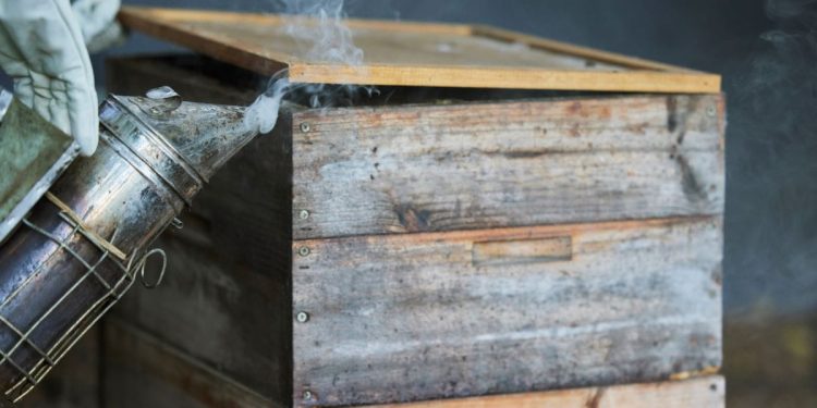 Policija pronašla muškarca koji je uzrokovao požar kod Tučepa! Evo što je zapravo radio…