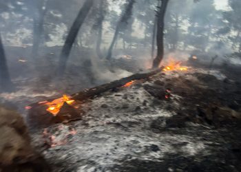 Požar kod Trogira pod kontrolom vatrogasaca: ‘Podmetnuto, gledao sam na svoje oči’