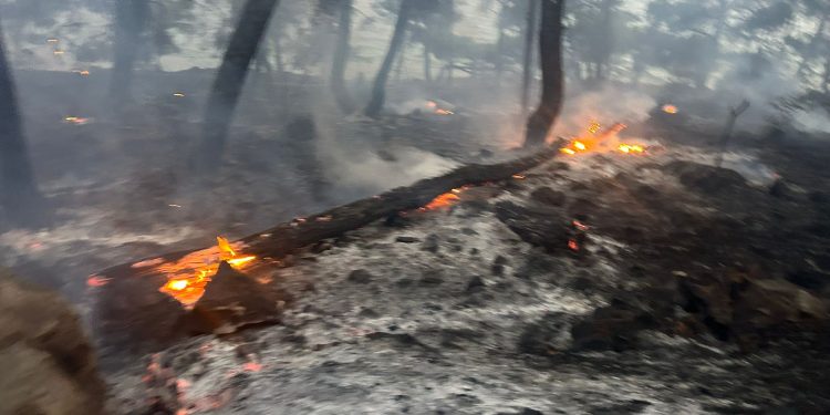 Požar kod Trogira pod kontrolom vatrogasaca: ‘Podmetnuto, gledao sam na svoje oči’