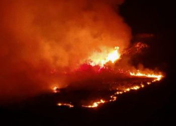 Požar na području Segeta Gornjeg, pomaže i kanader. Zapovjednik: “Situacija na požarištu je povoljna”