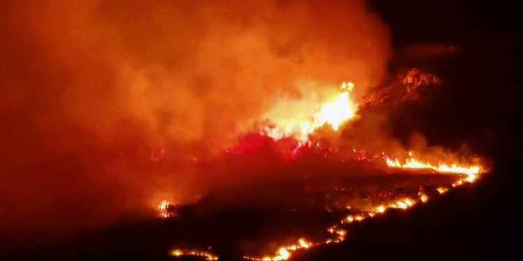 Požar na području Segeta Gornjeg, pomaže i kanader. Zapovjednik: “Situacija na požarištu je povoljna”