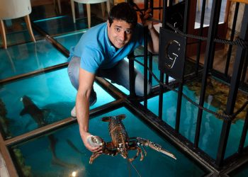 Poznati restoran postao mjesto obračuna, pretučeni vlasnik i kuhar: ‘Nije nam svejedno’