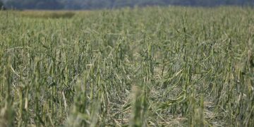 Prirodna nepogoda za Općinu Voćin