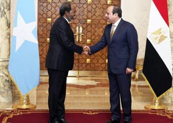 Problematična afrička država odobrila obrambeni sporazum s Egiptom — RT Africa