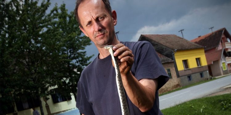 Pronašli dva poskoka tamo gdje ih nisu očekivali, Darko: ‘Ima ih dosta ove godine’