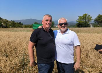 Prva žetva Grada Sinja i Sveučilišta u Splitu