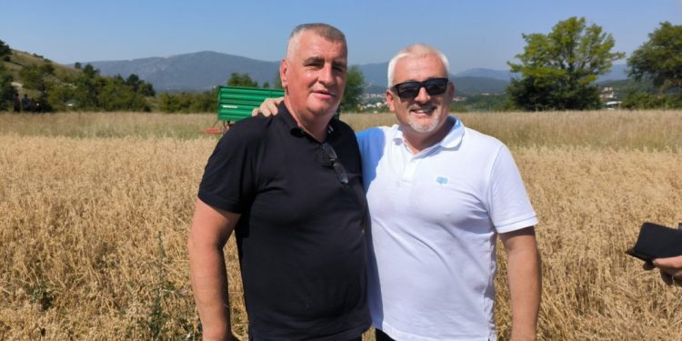 Prva žetva Grada Sinja i Sveučilišta u Splitu