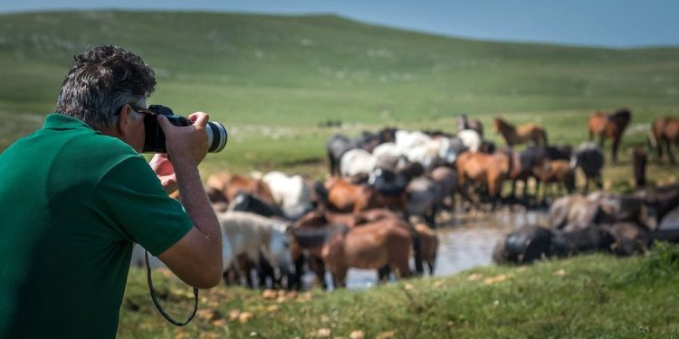 RURAL FOTO Krenuo izbor najbolje ruralne fotogrfije