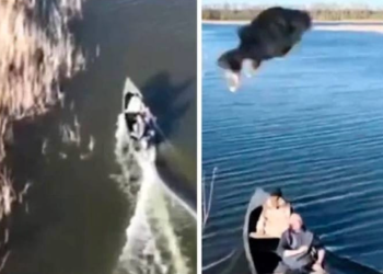 Ribar Ukrajinac pogodio ruski dron