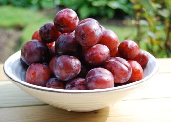 SEZONA JE ŠLJIVA Sočne su, slatke i izuzetno zdrave | NACIONAL.HR