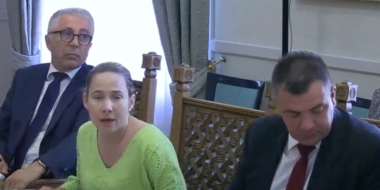 Selak Raspudić pobijesnila na sjednici Odbora: ‘Znači, vi ste sad dobili upute što da napravite?’