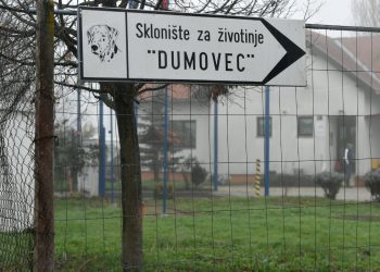 Sklonište za životinje u Zagrebu na rubu pucanja: Ono što neki građani rade ljubimcima je strašno