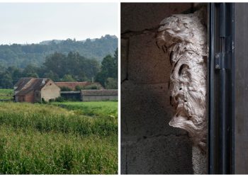 Slavonac u šoku nakon ulaska u pušnicu: ‘Izlazili su iz nje, odmah sam otrčao po ženu i sina’