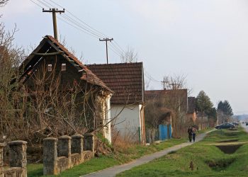 Slavonac ušao u pušnicu i zatekao dvije zastrašujuće tvorevine: ‘Odmah sam zvao upomoć’