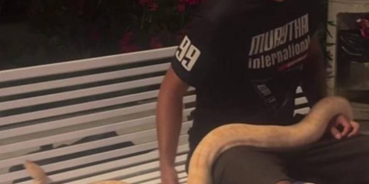 Netko je na splitsku rivu došetao s ogromnom zmijom!